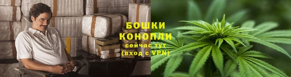 гидра Нягань