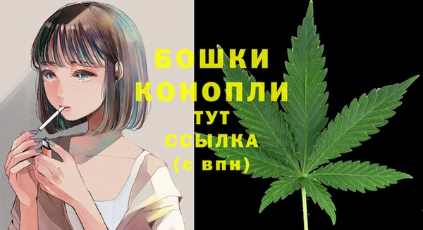 СК Няндома